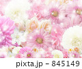 花背景