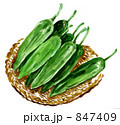 ししとう