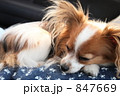 847669