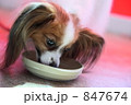 847674