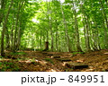 世界自然遺産