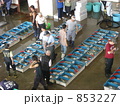 三崎の魚市場（マグロのせり）