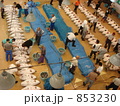 三崎の魚市場（マグロのせり）