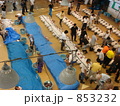 三崎の魚市場（マグロのせり）