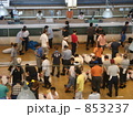 三崎の魚市場（マグロのせり）
