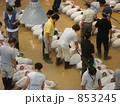 三崎の魚市場（マグロのせり）