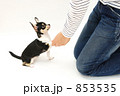 小犬を躾ける男性
