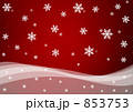 舞い降りる雪の結晶