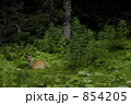 854205