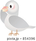 鳩（ハト）