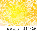 蝶華黄色