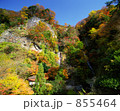 金龍の滝の紅葉