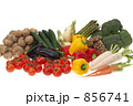 野菜集合
