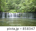 新緑の白糸の滝
