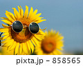 まぶしい