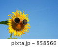 まぶしい