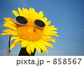 まぶしい