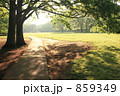 世田谷　砧公園　新緑