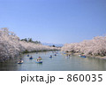 弘前桜祭り