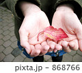 手のひらに小さな秋*