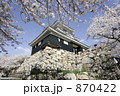 城と桜