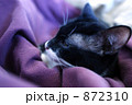 872310