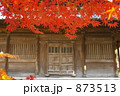 博多　聖福寺の紅葉。