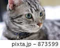 873599