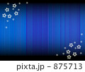 875713