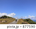 与那国島の道