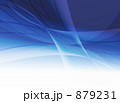 879231