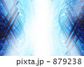 879238
