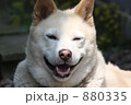 ちょっとにやけてます