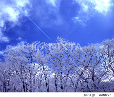 「樹氷」の写真素材 「樹氷」の写真素材
