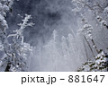 881647