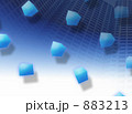 883213