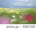 道