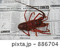 886704