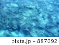 沖縄の海