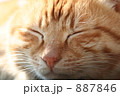 887846