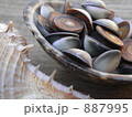 素材ナンバー 887995 : 「海からの贈り物」