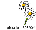 二輪の白い花のイラスト