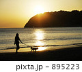 逗子海岸から見た大崎と犬の散歩