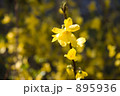 山吹