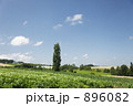 896082