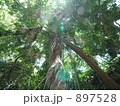 天から降り注ぐ光のシャワー