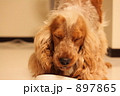 もぐもぐ