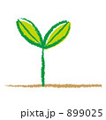 899025