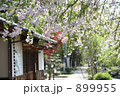 葉桜