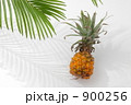 素材ナンバー 900256 : 「スナックパイン」
